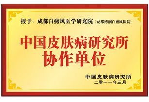 中国皮肤病研究所协作单位