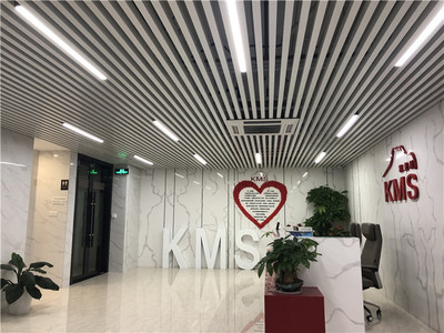 凯美斯脂肪刀 专业祛斑，放心塑造美丽